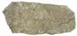 Betonový nášlapný kámen C