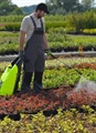 Akumulátorový postřikovač Marolex VX je ideálním partnerem pro zahradnictví